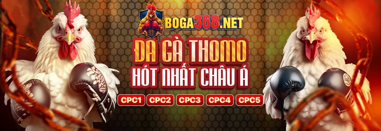 Tương lai của cá cược đá gà trực tuyến fu88