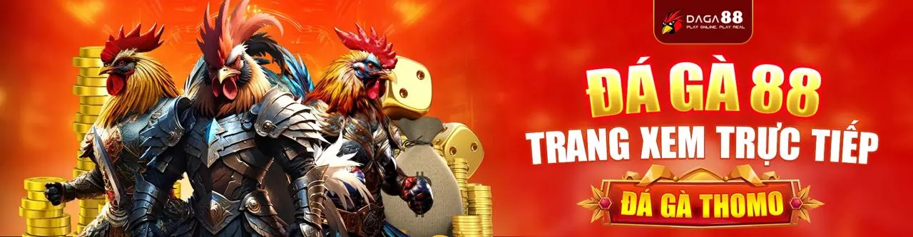 Đấu trường đá gà cựa dao sôi động tại fu88